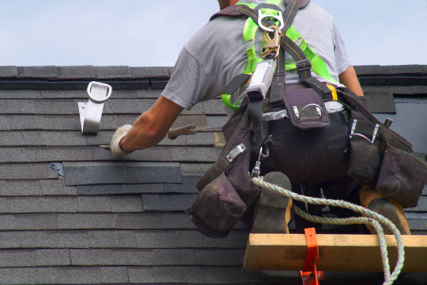 Best Chimney Flashing Repair  in Carrabelle, FL