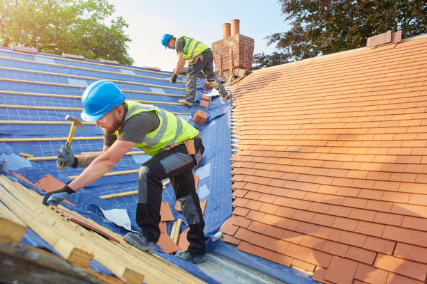 Best Steel Roofing  in Carrabelle, FL